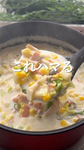 A must-make recipe for cold days: Rich and delicious creamy cabbage and bacon soup | A foolproof ...