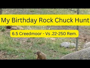 .22-250 Rem. vs 6.5 Creedmoor | My 70th Birthday Rock Chuck Hunt. 100 - 300 Yards.