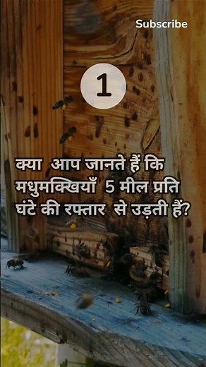 Scary Whatsapp Horror Call Prank on Youtubers 😱wanderers hubchallengesVLOGScomedyentert