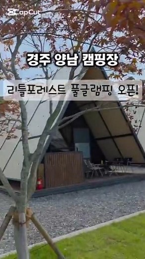 경주 양남 캠핑장 #리틀포레스트 에 #풀글램핑 이 생겼다