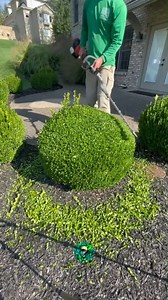 2.1M views · 10K reactions | Datos Curiosos que no sabias  #ReelsCuriosos #curiosidades #datosinteresantes #datoscuriosos #Hechos #viral #hechoscuriosos #SabiasQue #Datos | Reels Curiosos | Facebook