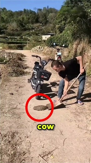 This Guy Has the Weirdest Way of Solving Problems 😂