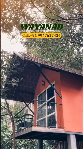 Wayanad Resorts™️ on Instagram: "❗️Couples forest ambience cottage❗️ Follow @wayanad_holidayz.in For Booking:📞+91 9947617436 • RESORT • HOMESTAY • PRIVATE POOL VILLA • FAMILY COTTAGE • TENT STAY • TREE HOUSE • CAVE HOUSE • COUPLE COTTAGE • DOME HOUSE • HONEYMOON COTTAGE • HOTEL ROOMS • LUXUARY VILLAS #wayanad #wayanadresorts #WAYANAD #wayanadtrip #wayanadtourism #keralatourism #wayanaddiaries #wayanadtrip #resort #wayanadresort #wayanadhomestay #resortwayanad #wayanadvibes #wayanadtouristplaces