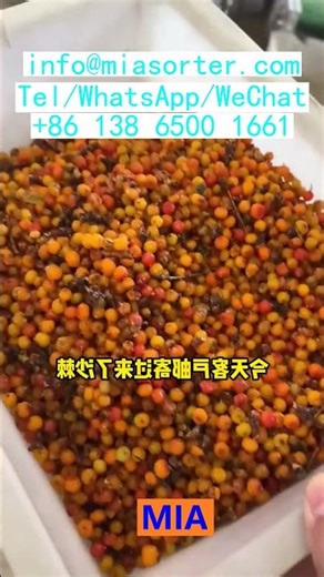 Reliable Supplier Of AI CCD Control System Color Sorting Machine Production Line China Egypt