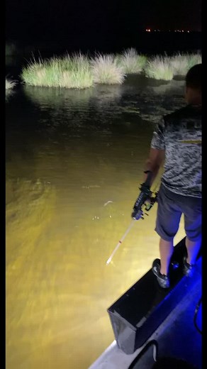 #louisiana #bowfishing #airboat #cajun #fyp