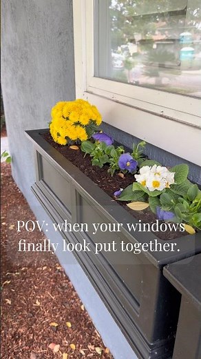 Easy Curb Appeal Upgrade | Window Flower Boxes