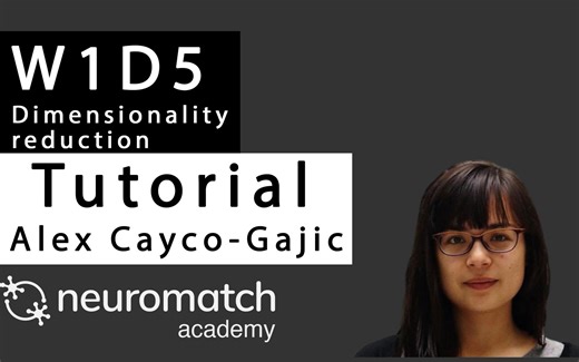 W1D5 Dimensionality Reduction Tutorial 2 Part 1