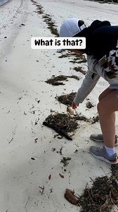 ? | Exploring Alabama