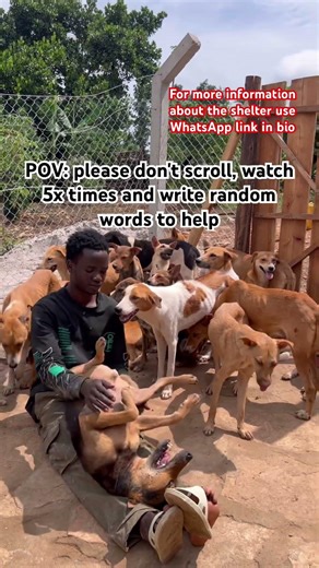 POV: please don't scroll, watch 5x times and write random words to help