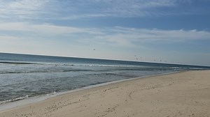 8.7K views · 382 reactions | Even though we remain closed we hope that our friends and visitors stay well. Please wash your hands and practice social distancing... IBSP...The Way Life Should Be | Island Beach State Park | Facebook