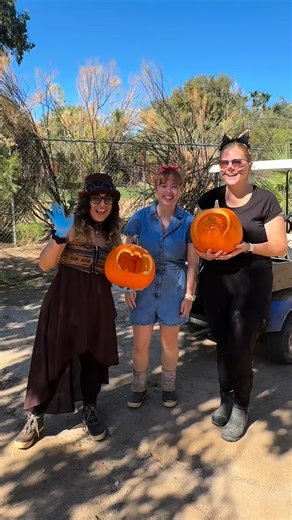 Some of our water loving creatures are getting into the Halloween spirit in advance of the Halloween Day Spooktacular! Bring your little ghouls and goblins to visit Wildlife World on Friday October 31st 👻 **Kids dressed in costume will receive FREE admission into the park! 🧛 and each child will receive a goodie bag with treats 🍭 **One free child per paid adult admission. Offer not valid with any other offers. (regular daytime admission only) Watch your favorite animals enjoy their Halloween t
