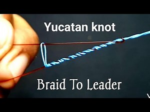 fishing knots : Yucatan knot braided to fluorocarbon leader