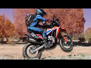 Is This The Best Honda CRF300L Rally?! - Cycle News