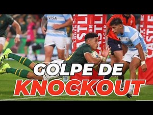 Pumas vs. Springboks Scores and Analysis | The Rugbeat Show
