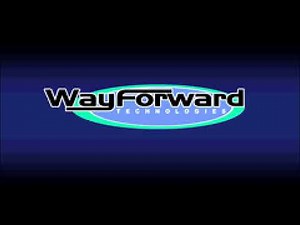Universal Interactive/WayForward Technologies (2002)