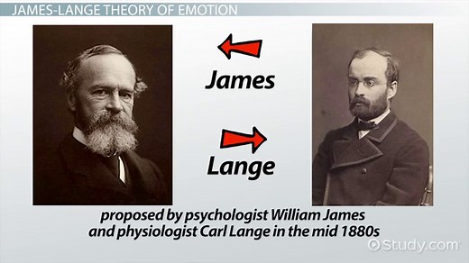 James-Lange Theory of Emotion | Overview, Examples & Criticism