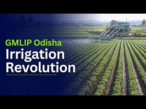 Odisha’s Largest Micro Irrigation Project | GMLIP Bargarh | Kothari Group Impact