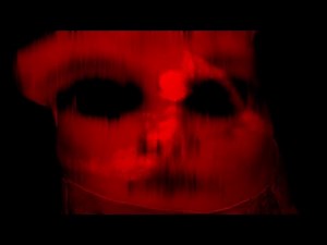 The Ghost That Scratched - The Sallie House Haunting