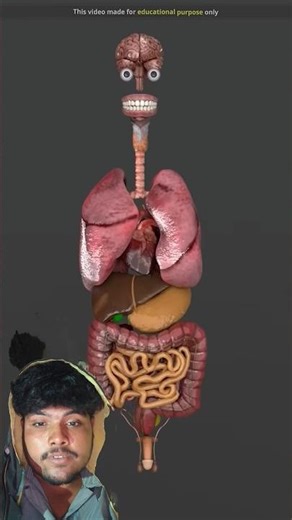 ये है आपके शरीर का सबसे महंगा अंग 😲