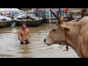 CALIBRI NA ÍNDIA - EP 2