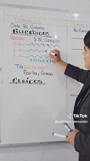 Lípidos Simples: Glicéridos y Céridos
