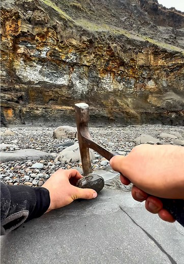 Exploring Fossils: Jurassic Age Discoveries on the Beach