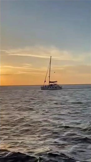 process Tower of bucket elevator