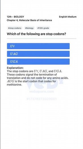 Stop Codons Explained 12th Biology Molecular Basis of Inheritance
