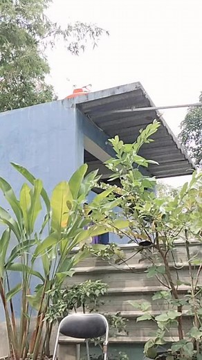 Understanding Body Language in Casual Settings