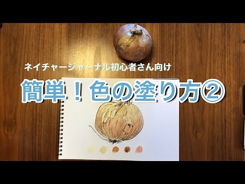 【初心者必見】簡単色の塗り方とコツ②ペンスケッチに色を塗る！