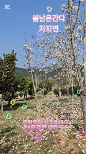 #목련꽃 #산책로 #힐링타임 #아름다운풍경 #캡컷활용