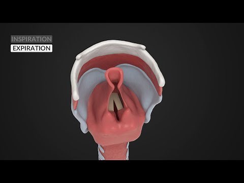 Stridor du nourrisson et laryngomalacie : a quoi ça ressemble ?