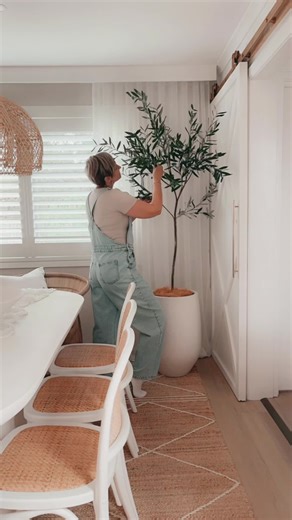 How to Set Up a Realistic Artificial Olive Tree in Your Dining Room