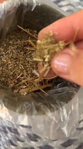 Luana Silva on Reels