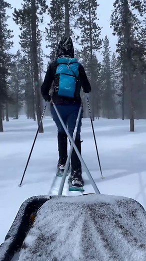 DIY Sled Harness Setup for Winter Adventures