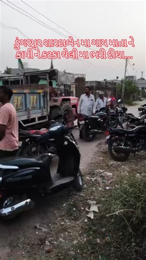 આપડુ જુનાડુ🦁 on Instagram: "ડુંગરપુર શારદાનગર મા ગાય માતા ને કાપી ને કટકા થેલી મા ભરી દીધા...😢😢 ડુંગરપુર મા આ બનાવ થી પબ્લિક મા ભારે રોષ જદેખાયો વહેલી તકે ગુનેગાર ને પકડી કડક પગલા લેવા માંગ કરાઈ.. લખવા મા ભુલ થય એના માટે દીલ થી સોરી ઓટો મા ફરી ગયુ છે. Video send by _ajudo_5611__13_ #model #beautiful #foryoupage #instalike #likes #viralreels #beauty #bollywood #art #picoftheday #newpost #onlineshopping #reelitfeelit #likesforlike #post #photoshoot #exploremore #cute #funny #motivation #new #ke