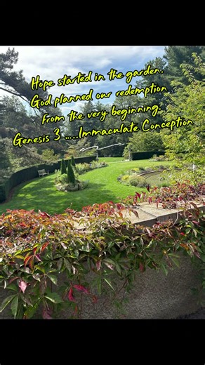 Genesis 3:9-15,20- Immaculate Conception Reflection| The First Promise of Mary & Jesus