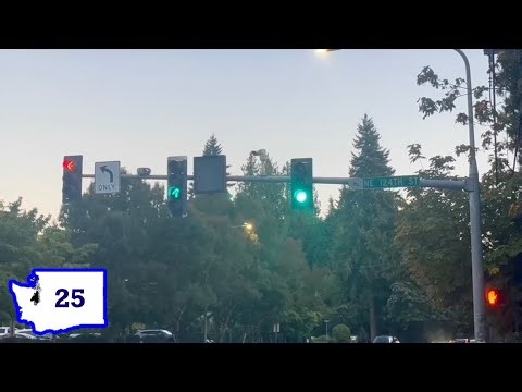 Washington Traffic Lights 25