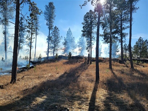 Fact brief: Has the rate of forest fires in the SD Black Hills increased?