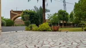 Park, Masque, Flowers, Bird