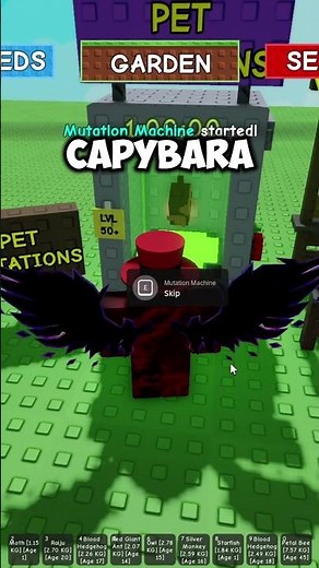 how to level up pets fast in grow a garden roblox (how to age pets fast)