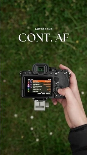 Camera settings Wildlife photography