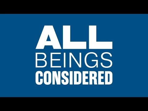 Inside the Secret World of Lab Dogs — with Melanie D.G. Kaplan | All Beings Considered