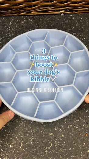 3 Easy Ways to Upgrade Your Dog's Kibble | Dog Nutrition Tips