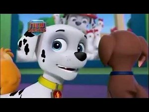PAW Patrol: Launch Promo (2013) (Tonight)