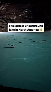 ❌ Don’t miss this! Just 1 hour from Knoxville & 3 hours from Nashville lies the largest underground lake in North America - the Lost Sea! 💦🤯 This unique tour involves a walk through the caverns and a boat ride across the lake! The turquoise glow of the water, the echoes bouncing off the damp cave walls & the schools of rainbow trout swimming around the boat are absolutely mesmerizing 😍 📍Lost Sea - Sweetwater, TN Would you go?! Psssst: My blog has all of the details you need to plan your trip
