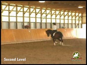 Steffen Peters training Second Level/2nd Level