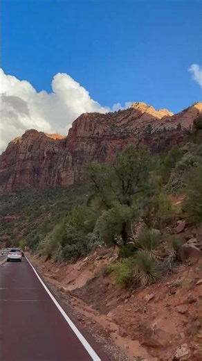 Zion National park #zionnationalpark #springdale #utah #roadtrip #usa #ziongateway #nature #travel