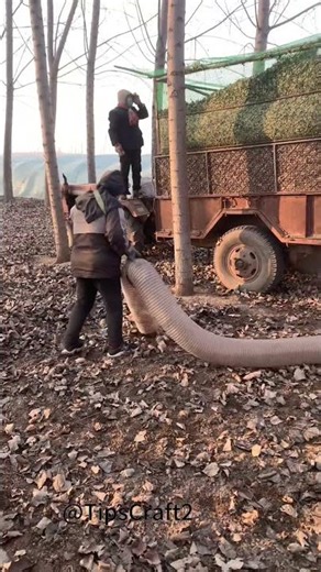 🍂 A leaf "vacuum cleaner"! One tube sucks up all the golden leaves from the ground.