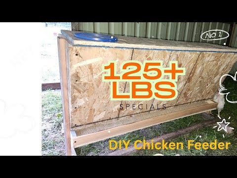 DIY Chicken Feeder That Holds 125+ lbs of Feed! | Easy Build for Backyard or Farm
